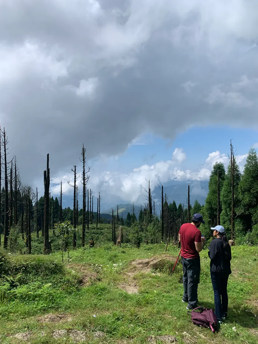Tiger Hill Trail