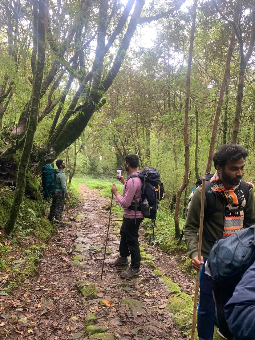 Tonglu Day Hike