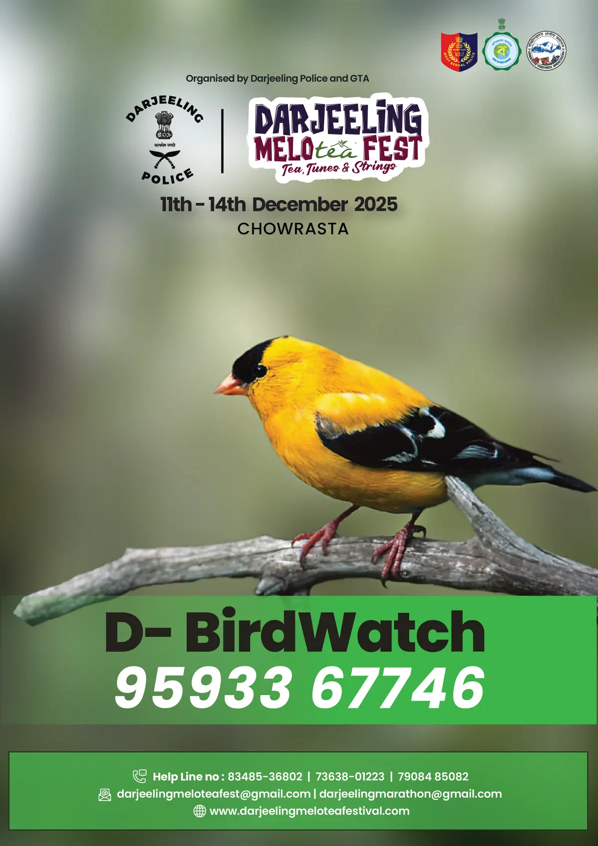 D-Bird Watch