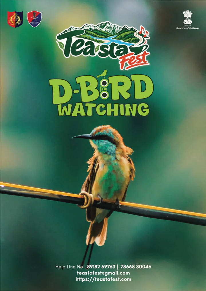 D-Bird Watching