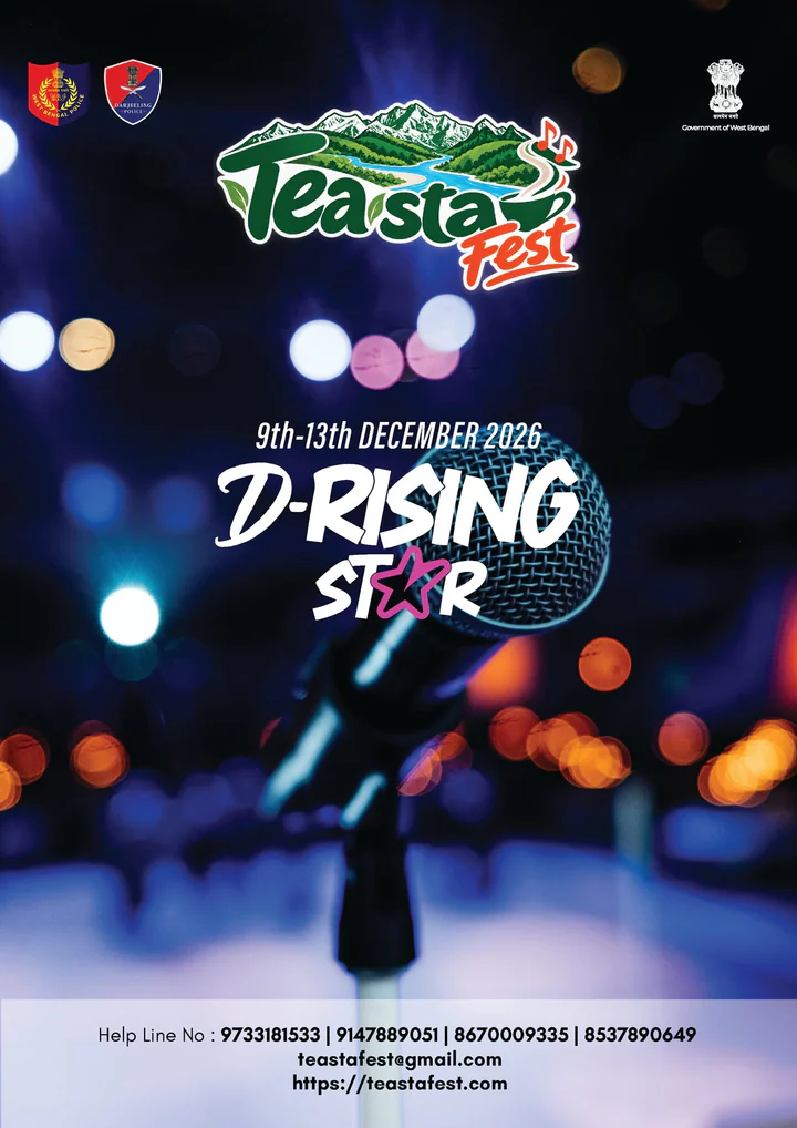 D Rising Stars